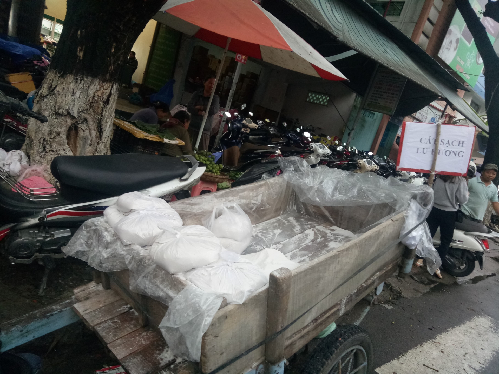 Nghề độc ở Đà Thành: Bán cát lư hương kiếm bộn tiền ngày Tết nghe doc o da thanh ban cat lu huong kiem bon tien ngay tet