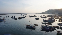 Niềm vui ngày 