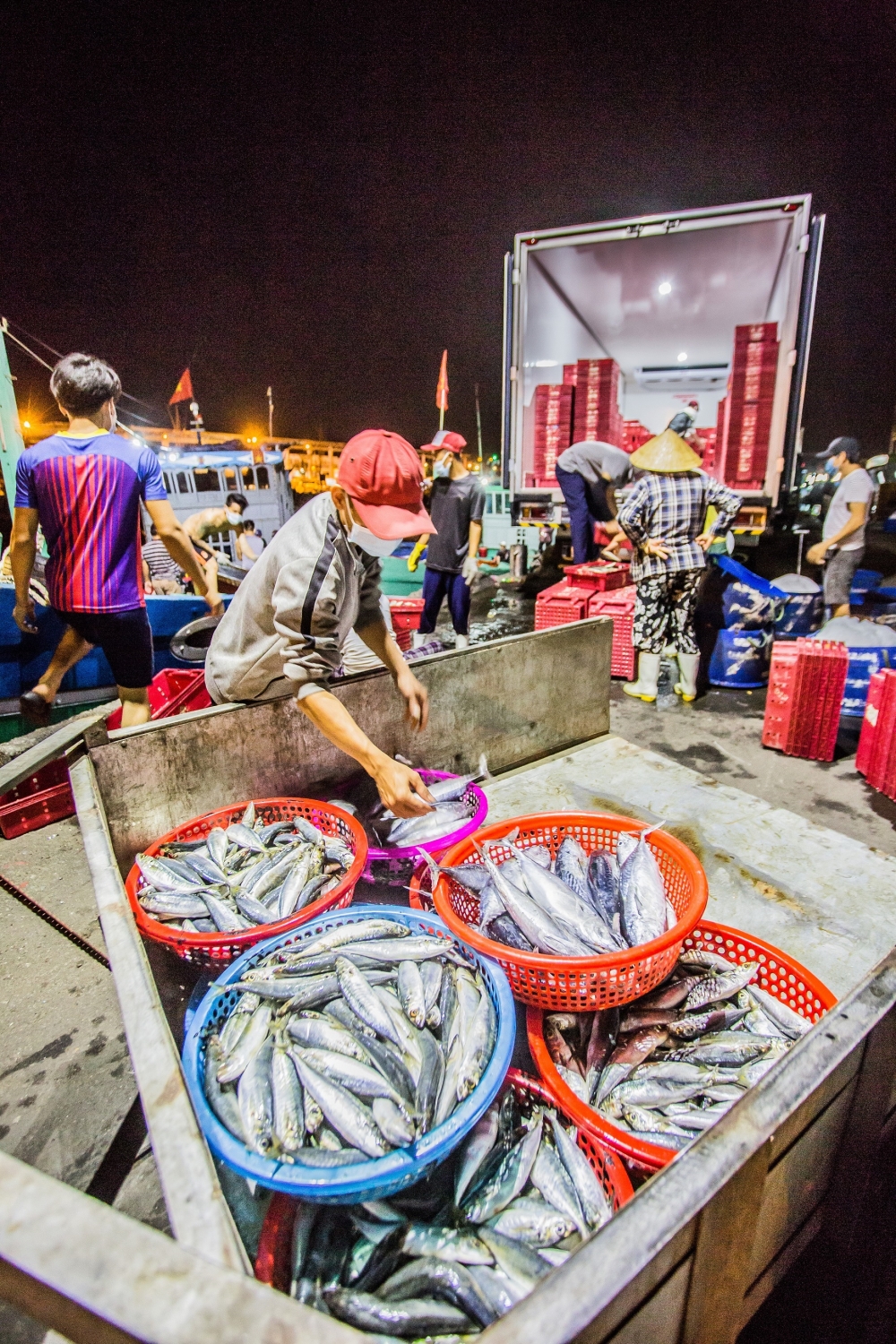 Mưu sinh ở cảng cá lớn nhất miền Trung ngày cuối năm Mưu sinh ở cảng cá lớn nhất miền Trung ngày cuối năm