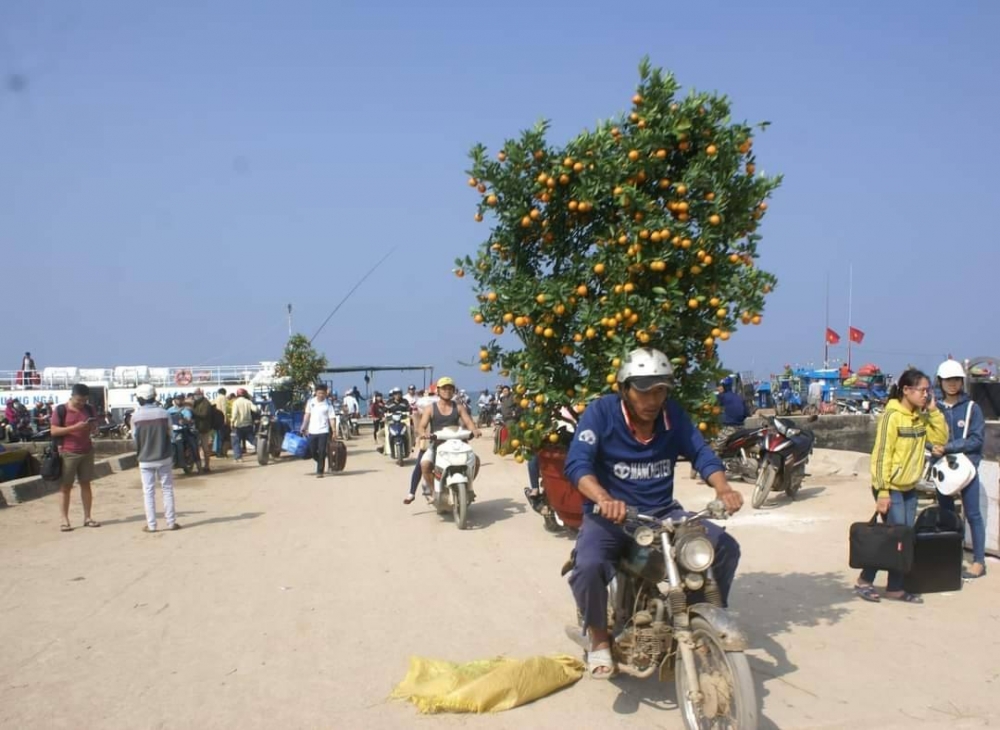 Đảo Lý Sơn tấp nập hàng Tết Tân Sửu Đảo Lý Sơn tấp nập hàng Tết Tân Sửu