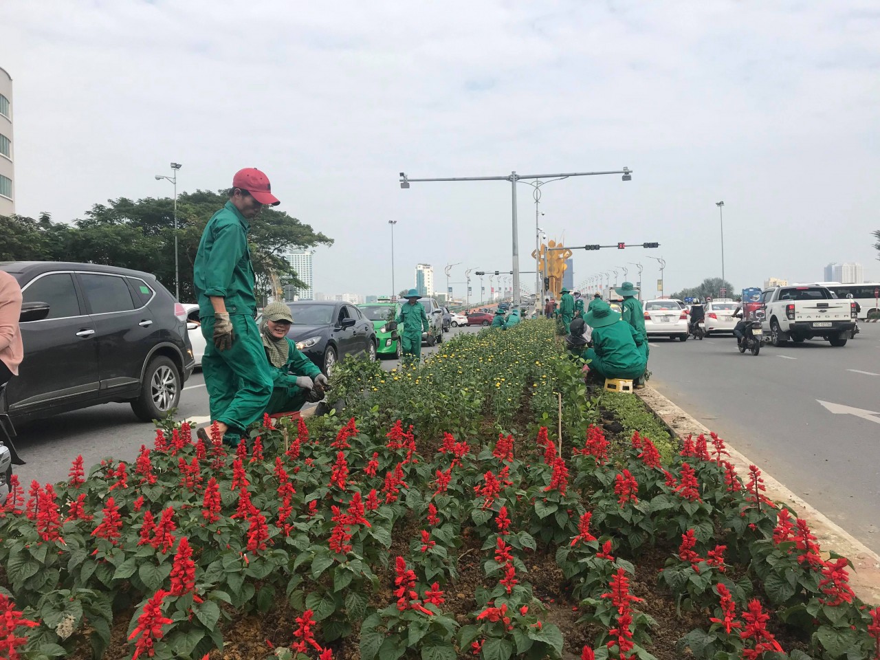 Đà Nẵng tất bật trang trí đường phố đón Tết Nhâm Dần Đà Nẵng tất bật trang trí đường phố đón Tết Nhâm Dần