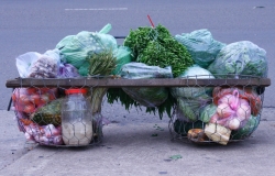 Nghề 