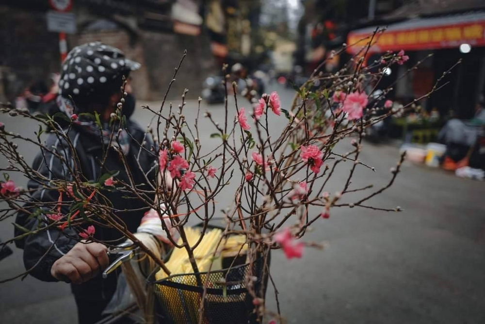 Mong Tết... Mong Tết...