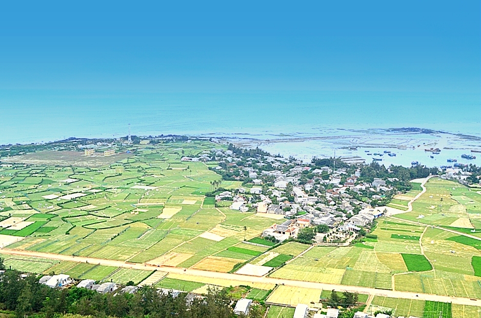 Nông dân Lý Sơn trồng hành tím trái vụ