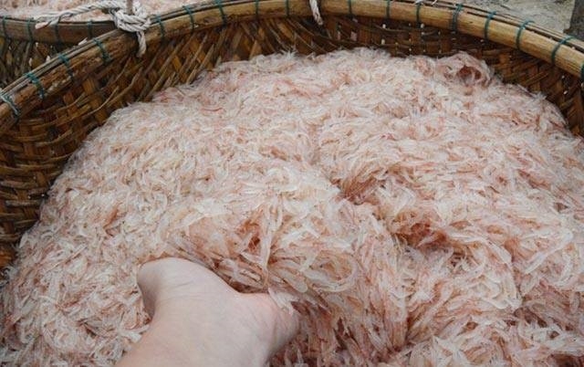 Vào mùa ruốc biển, ngư dân Đà Nẵng phấn khởi vì giá cao Vào mùa ruốc biển, ngư dân Đà Nẵng phấn khởi vì giá cao