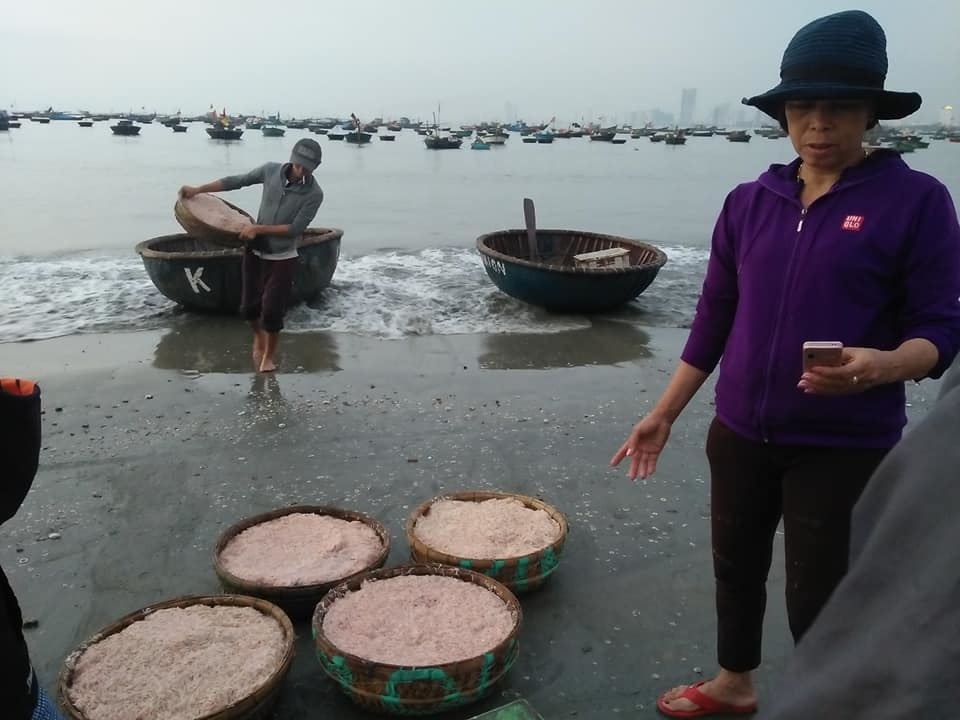 Vào mùa ruốc biển, ngư dân Đà Nẵng phấn khởi vì giá cao Vào mùa ruốc biển, ngư dân Đà Nẵng phấn khởi vì giá cao