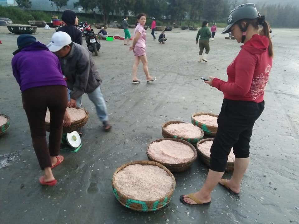 Vào mùa ruốc biển, ngư dân Đà Nẵng phấn khởi vì giá cao Vào mùa ruốc biển, ngư dân Đà Nẵng phấn khởi vì giá cao