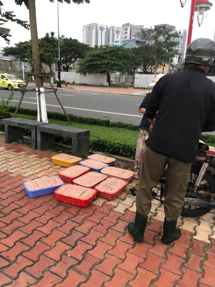 Vào mùa ruốc biển, ngư dân Đà Nẵng phấn khởi vì giá cao Vào mùa ruốc biển, ngư dân Đà Nẵng phấn khởi vì giá cao