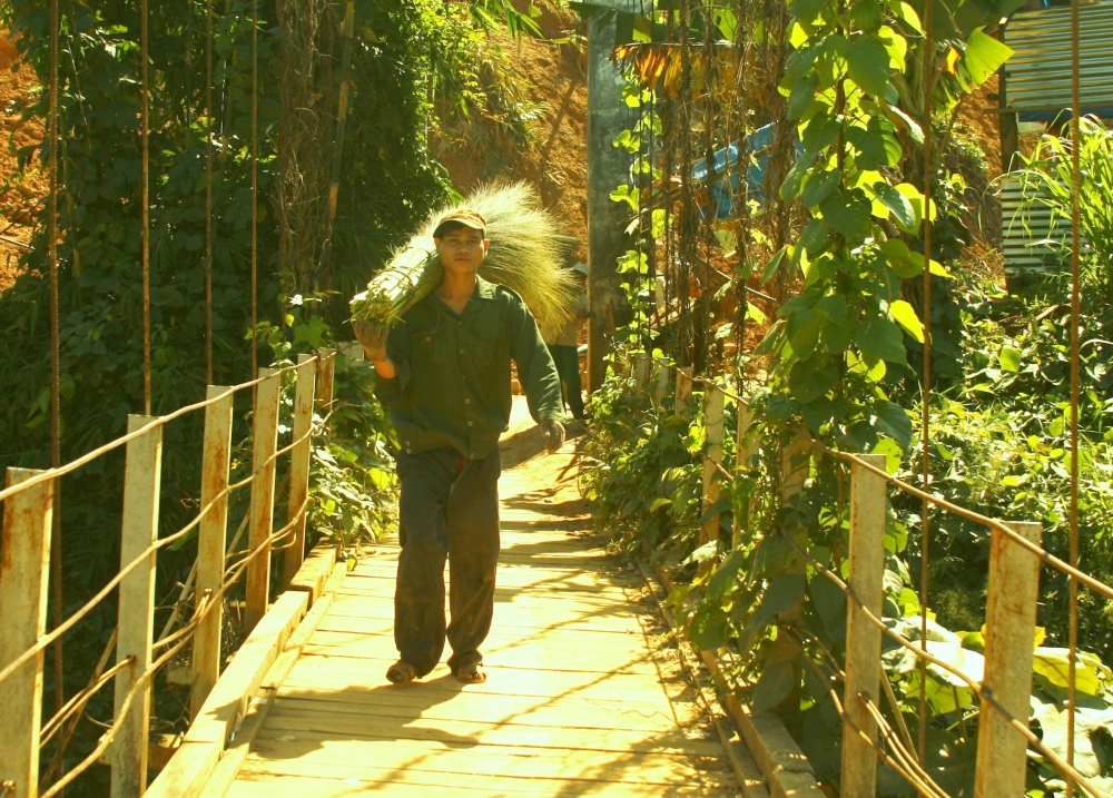 Lộc rừng đầu năm mới Lộc rừng đầu năm mới