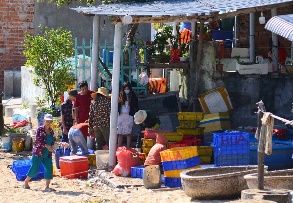 Làng biển Vũng Rô khoác áo mới Làng biển Vũng Rô khoác áo mới