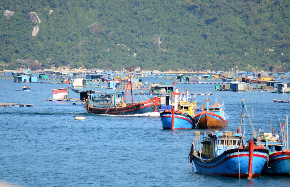 Làng biển Vũng Rô khoác áo mới Làng biển Vũng Rô khoác áo mới