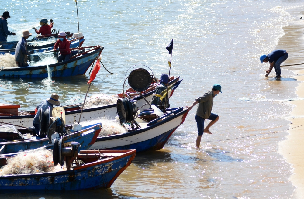 Làng biển Vũng Rô khoác áo mới Làng biển Vũng Rô khoác áo mới
