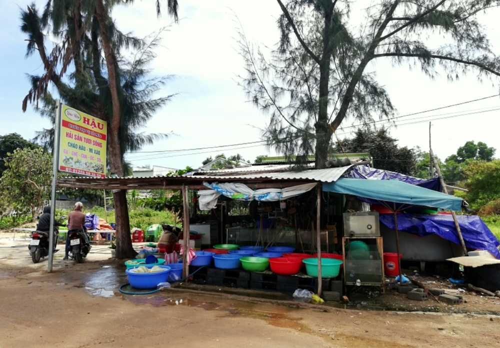 Mùa hàu về ở đồng nước Lập An Mùa hàu về ở đồng nước Lập An