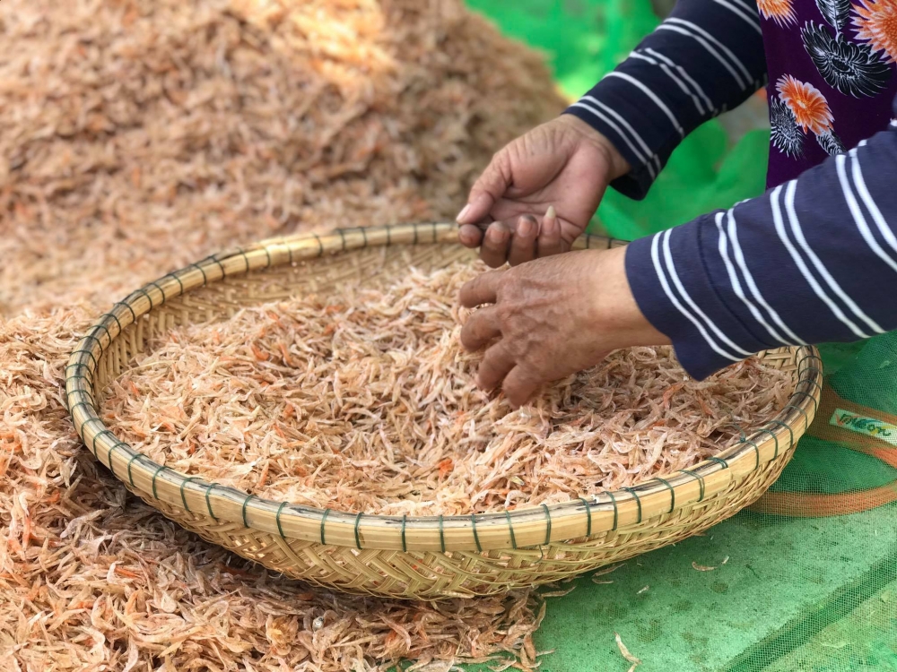 Cận cảnh quá trình phơi khô ruốc biển của ngư dân Đà Nẵng Cận cảnh quá trình phơi khô ruốc biển của ngư dân Đà Nẵng