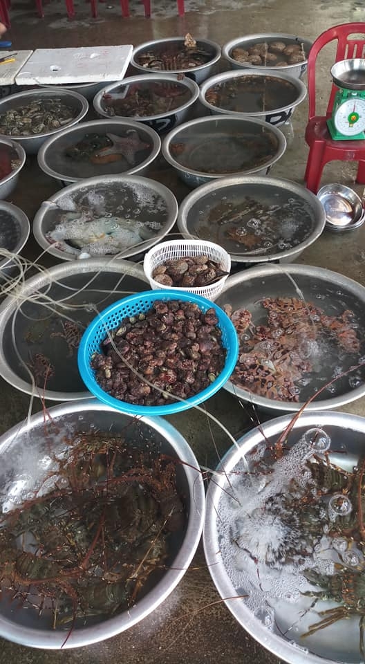 Thiên đường du lịch cù lao Chàm Thiên đường du lịch cù lao Chàm