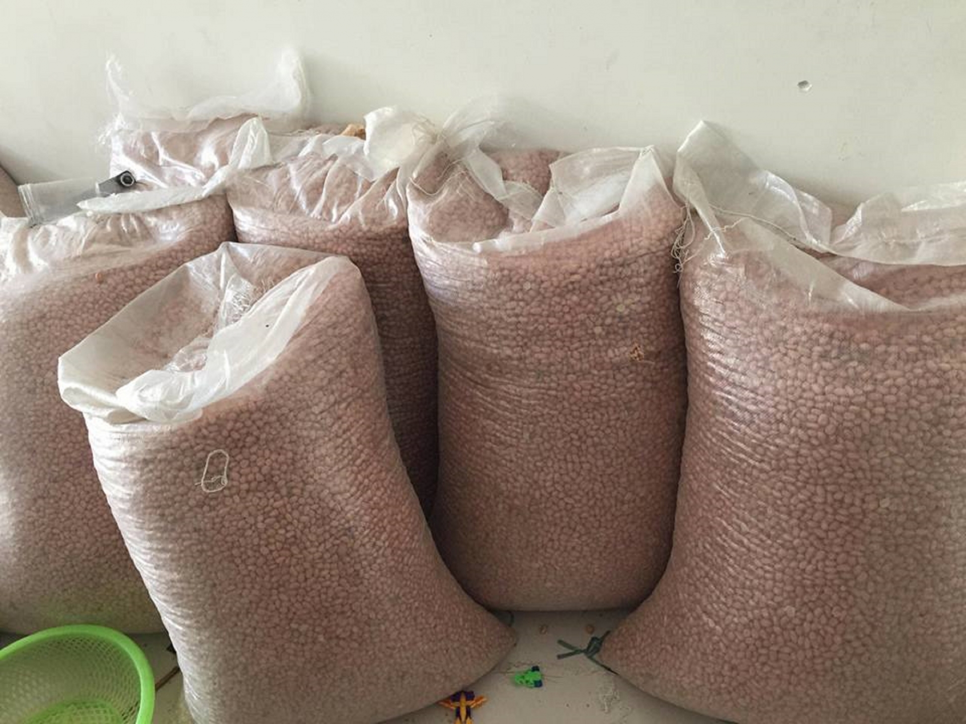 Nghề ép dầu lạc truyền thống ở Quảng Nam ep dau phung o mien son cuoc