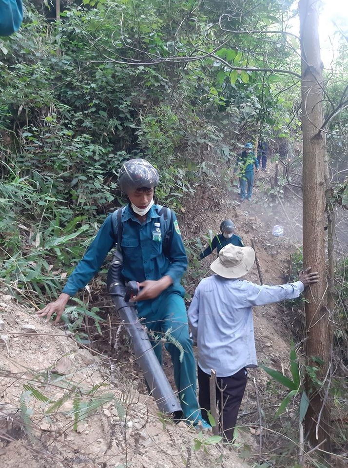 Đà Nẵng: Cháy rừng trong đêm chay rung trong buoi toi o da nang