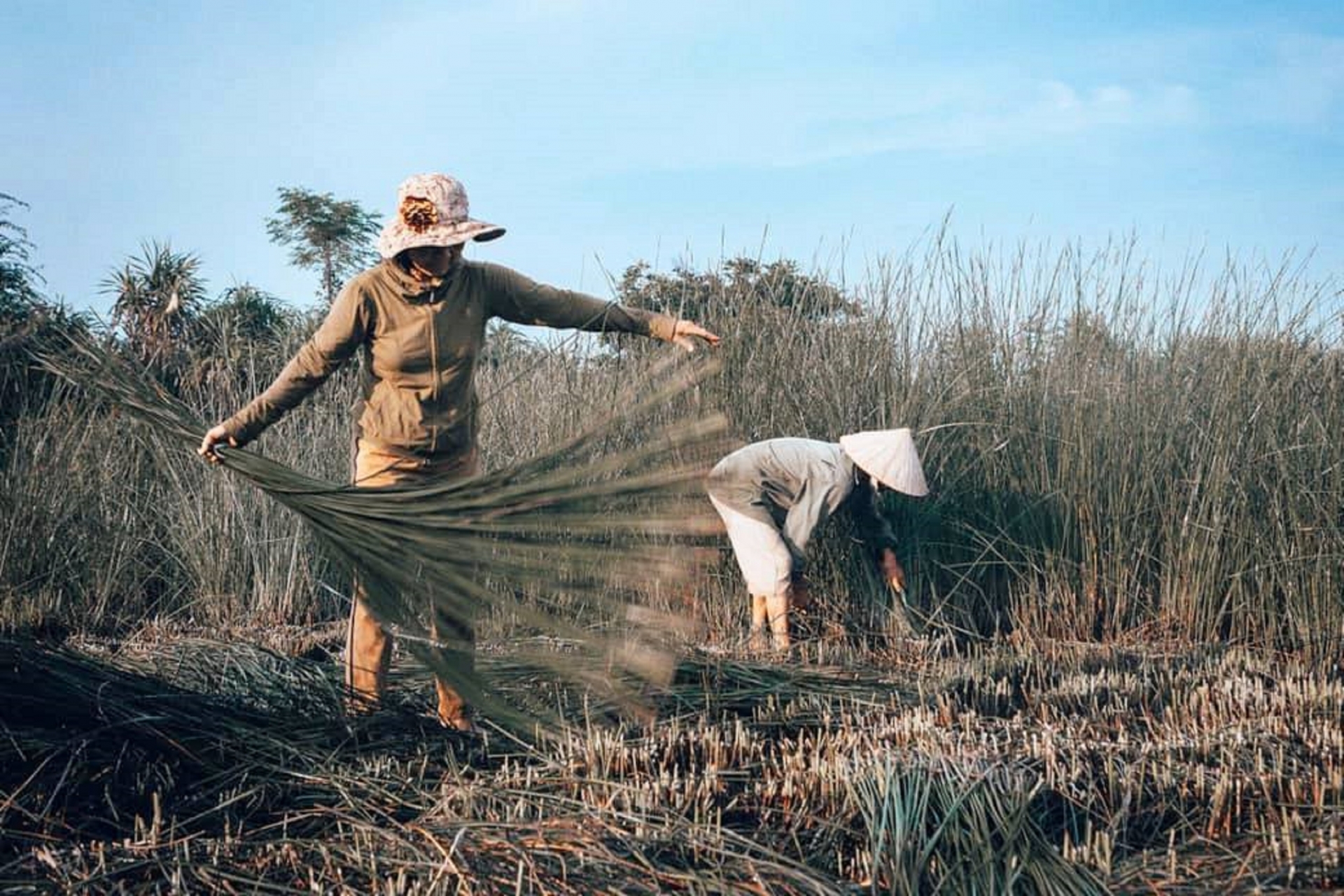 Chuyện về làng chiếu hơn 300 năm tuổi ở giữa ba sông chuyen ve lang chieu giua ba song