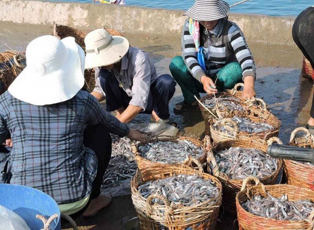 Du lịch xanh ở “đảo người già” Du lịch xanh ở “đảo người già”