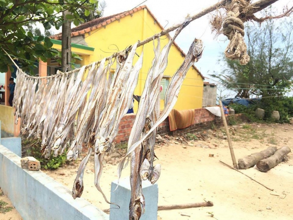 Phơi cá hố ở làng chài Phơi cá hố ở làng chài