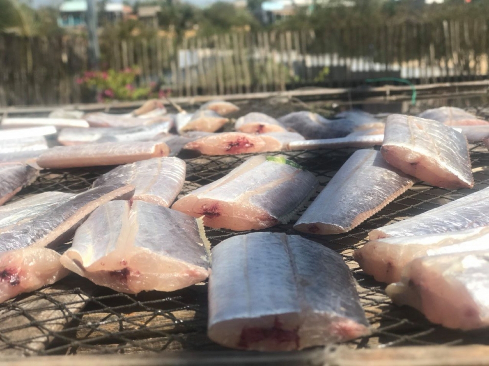 Phơi cá hố ở làng chài Phơi cá hố ở làng chài
