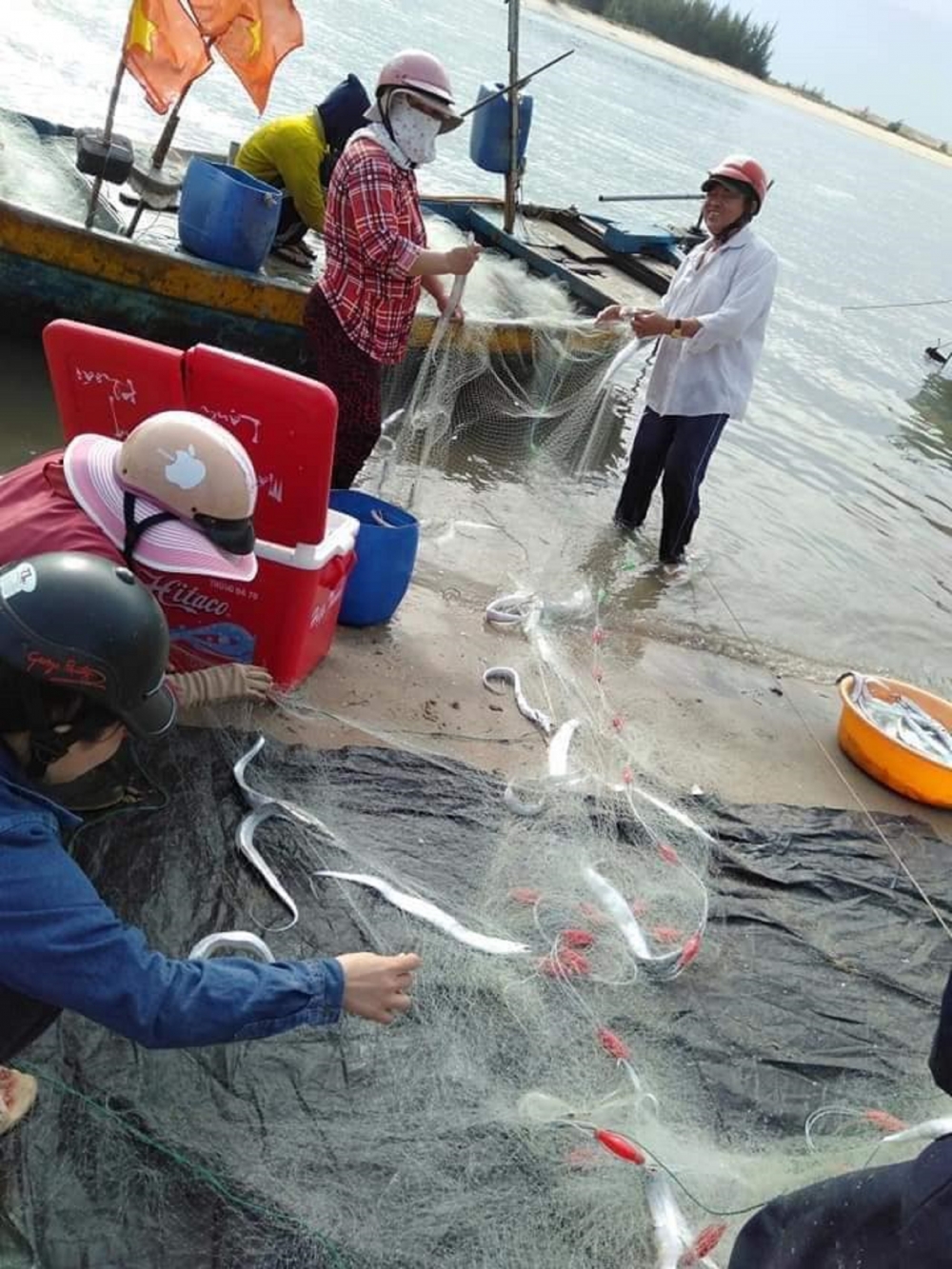 Phơi cá hố ở làng chài Phơi cá hố ở làng chài