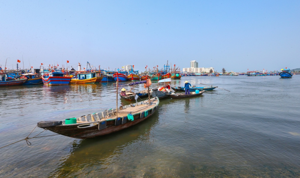 Tinh mơ ở cảng cá Thọ Quang: Xôn xao, tấp nập hơn ban ngày sang som tap nap tren cang ca tho quang