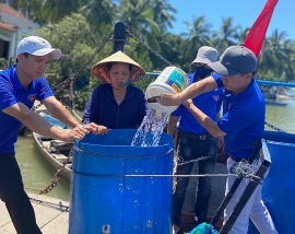 Quảng Nam: Nước sạch về 