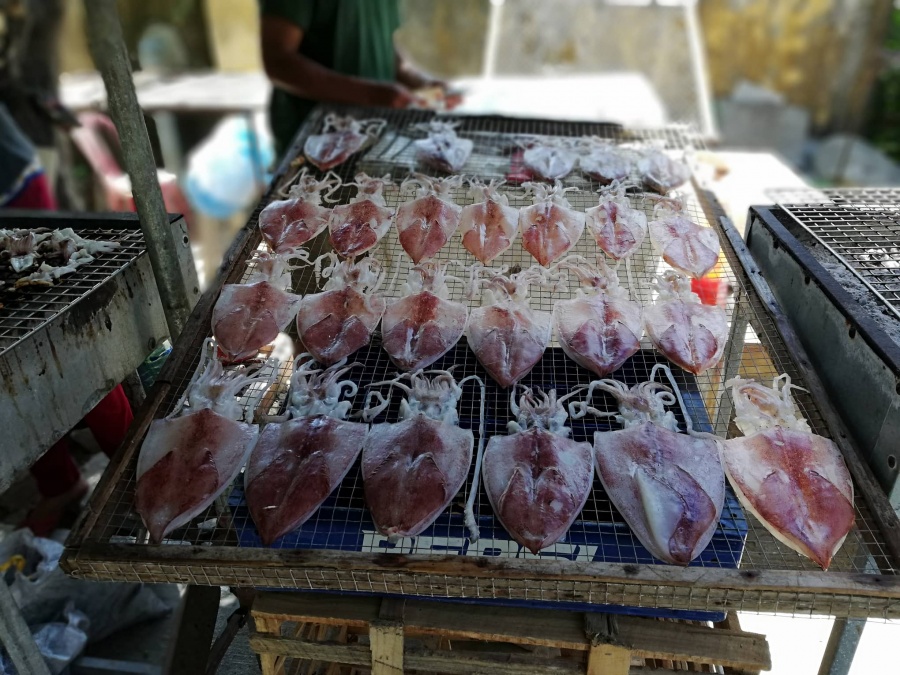 Thưởng thức món mực một nắng nổi tiếng ngoài đảo Cù Lao Chàm ngay ngat voi muc mot nang ngoai dao cu lao cham