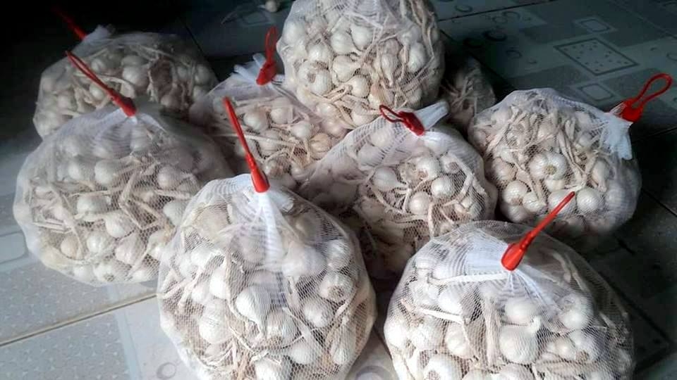 Giá tỏi xuống thấp, nông dân Lý Sơn mong hỗ trợ Giá tỏi xuống thấp, nông dân Lý Sơn mong hỗ trợ