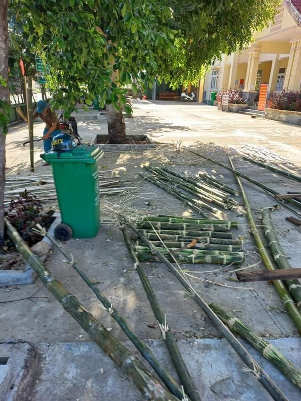 Người dân vùng núi Ba Tơ đốn tre làm giường tặng khu cách ly Người dân vùng núi Ba Tơ đốn tre làm giường tặng khu cách ly