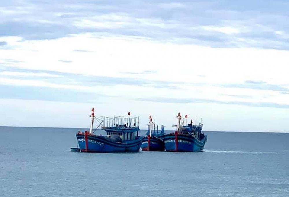 3 ngư dân tử vong trên tàu cá Quảng Ngãi chưa rõ nguyên nhân 3 ngư dân tử vong trên tàu cá Quảng Ngãi chưa rõ nguyên nhân