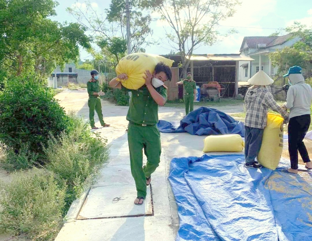 Công an Đà Nẵng giúp dân thu hoạch lúa Công an Đà Nẵng giúp dân thu hoạch lúa