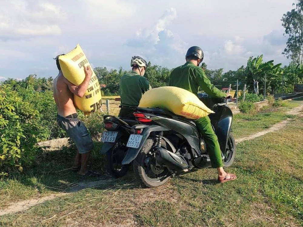 Công an Đà Nẵng giúp dân thu hoạch lúa Công an Đà Nẵng giúp dân thu hoạch lúa