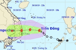 tin bao so 5 moi nhat hoc sinh khu vuc khanh hoa binh dinh quang ngai nghi hoc