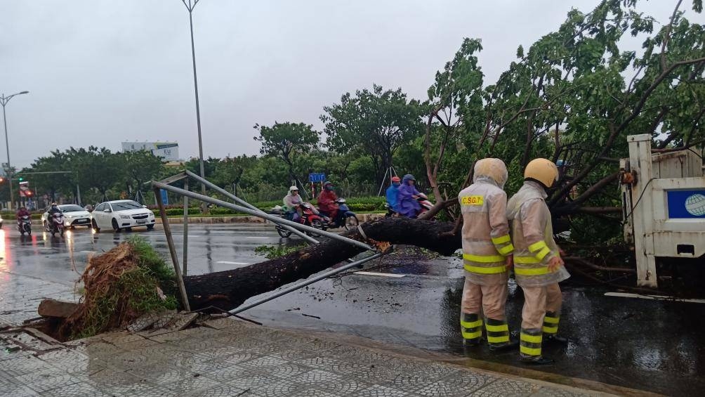 Đà Nẵng: Hàng loạt cây xanh đổ rạp do ảnh hưởng bão số 5 da nang hang loat cay xanh tren cac tuyen pho nga do do anh huong cua bao