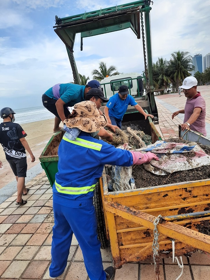 Đà Nẵng: Huy động lực lượng dọn rác hàng chục km bờ biển da nang huy dong luc luong don rac hang chuc km bo bien