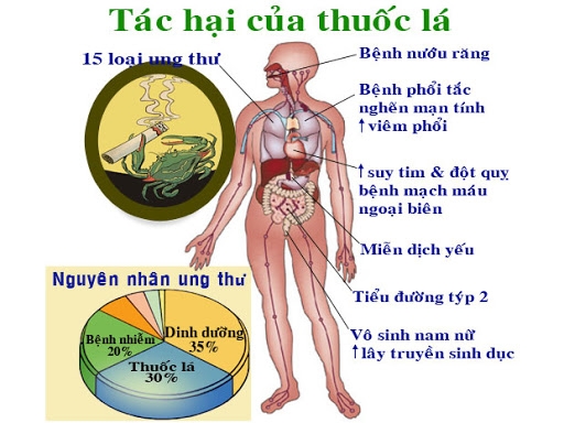 Bộ Thông tin Truyền thông tổ chức tập huấn phòng chống tác hại của thuốc lá tại Đà Nẵng Bộ Thông tin Truyền thông tổ chức tập huấn phòng chống tác hại của thuốc lá tại Đà Nẵng