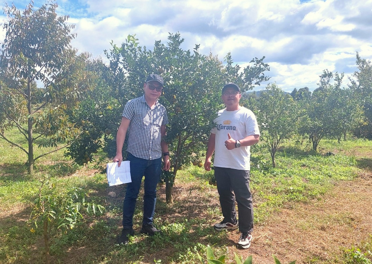 Chàng cử nhân bỏ phố về rừng làm nông nghiệp sạch Chàng cử nhân bỏ phố về rừng làm nông nghiệp sạch