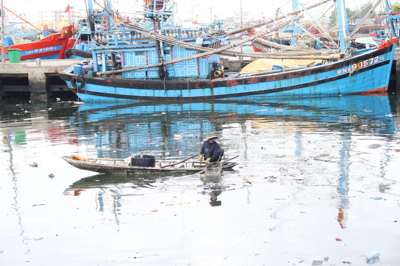 Cảng cá Thọ Quang (Đà Nẵng) ngập trong rác thải cang ca tho quang day rac thai