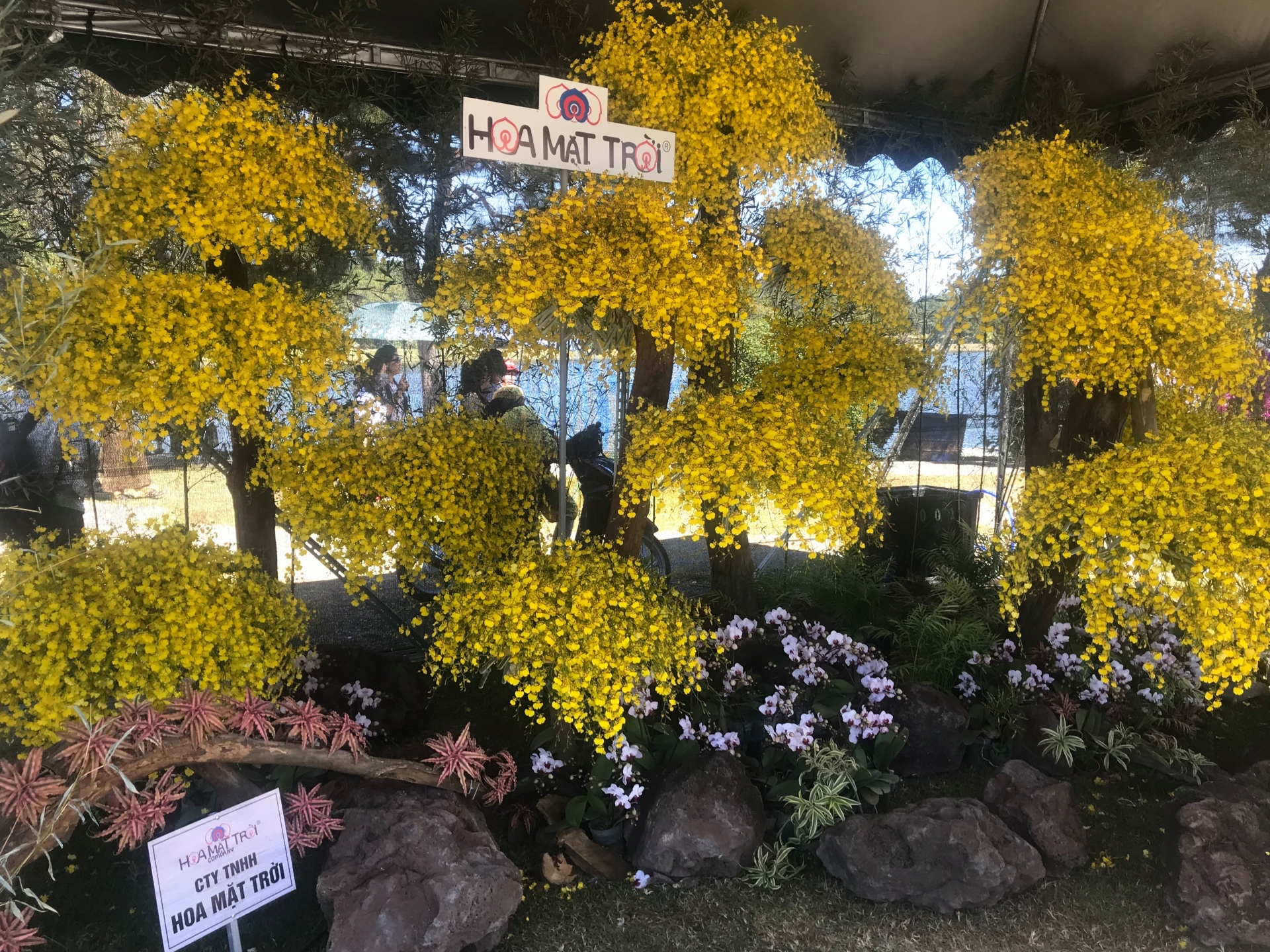 nhieu hoat dong tung bung tai festival hoa da lat 2019