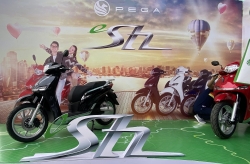 pega s chinh thuc duoc giao den tay khach hang