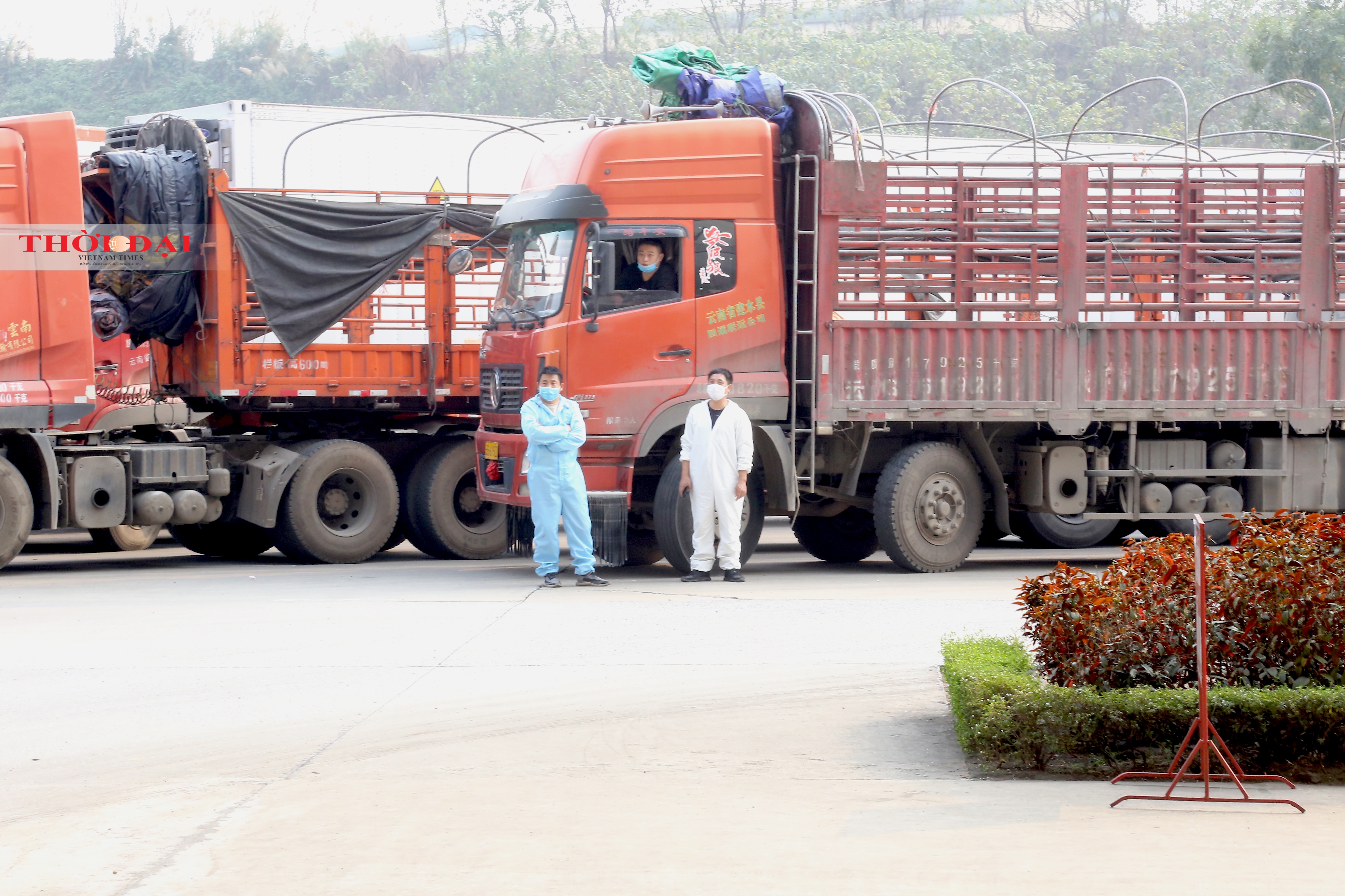 Lào Cai: Tháo gỡ phần nào tình trạng ùn ứ nông sản tại cửa khẩu Kim Thành thao go phan nao un u nong san tai cua khau kim thanh lao cai