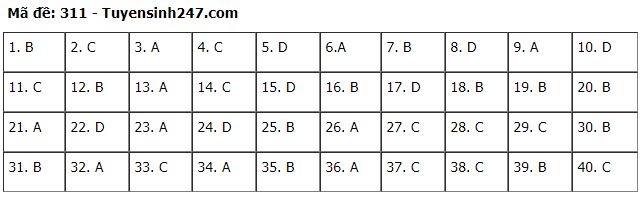 Đáp án môn Lịch sử kỳ thi tốt nghiệp THPT 2020 dap an mon lich su ky thi tot nghiep thpt 2020