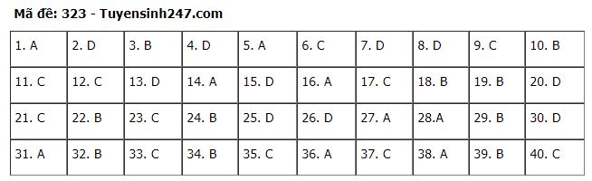 Đáp án môn Lịch sử kỳ thi tốt nghiệp THPT 2020 dap an mon lich su ky thi tot nghiep thpt 2020