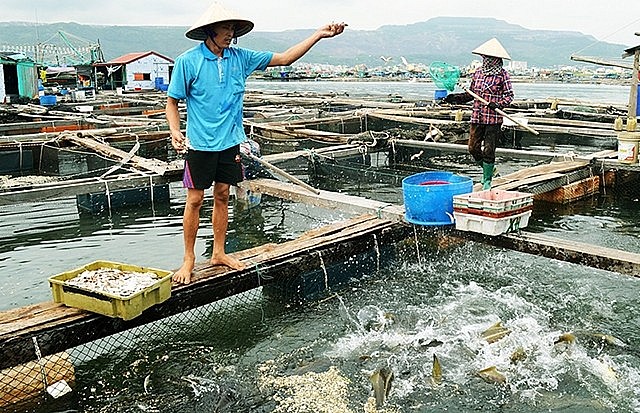 Hỗ trợ 102 tỷ đồng để phát triển thủy sản Hỗ trợ 102 tỷ đồng để phát triển thủy sản