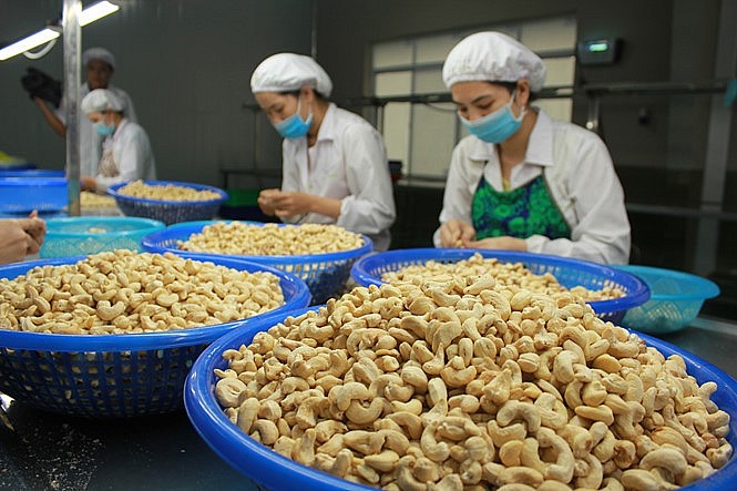 Xuất khẩu hạt điều sang EU ước tăng 15% về lượng năm 2022 Xuất khẩu hạt điều sang EU ước tăng 15% về lượng năm 2022