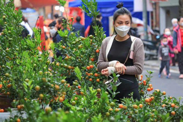 Một năm vắng lặng của chợ hoa trong lòng phố cổ Một năm vắng lặng của chợ hoa trong lòng phố cổ