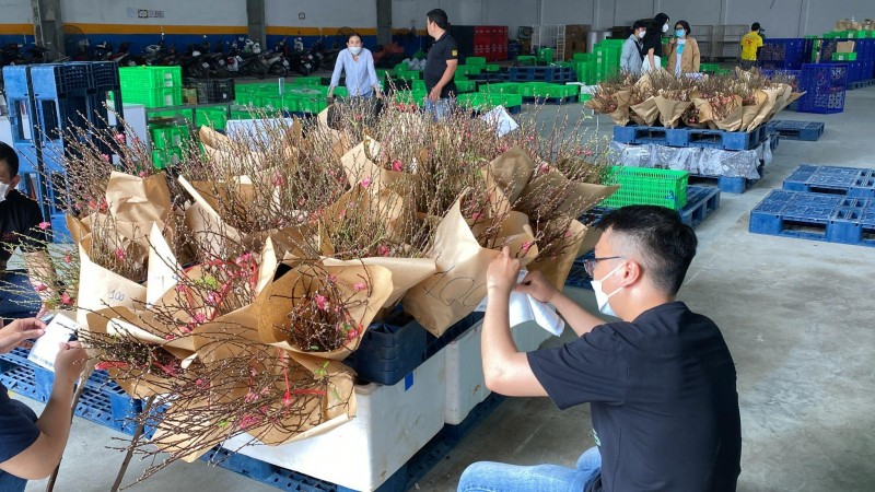 Hàng Việt "chiếm sóng" trên các sàn thương mại điện tử, phục vụ khách hàng xuyên Tết 2022 Hàng Việt "chiếm sóng" trên các sàn thương mại điện tử, phục vụ khách hàng xuyên Tết 2022