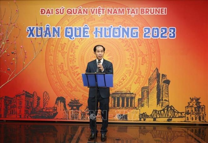 Bà con người Việt tại Brunei đón mừng xuân quê hương Chú thích ảnh